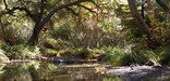 Quiet canyon creeks weave through the mountains along the Backbone Trail.